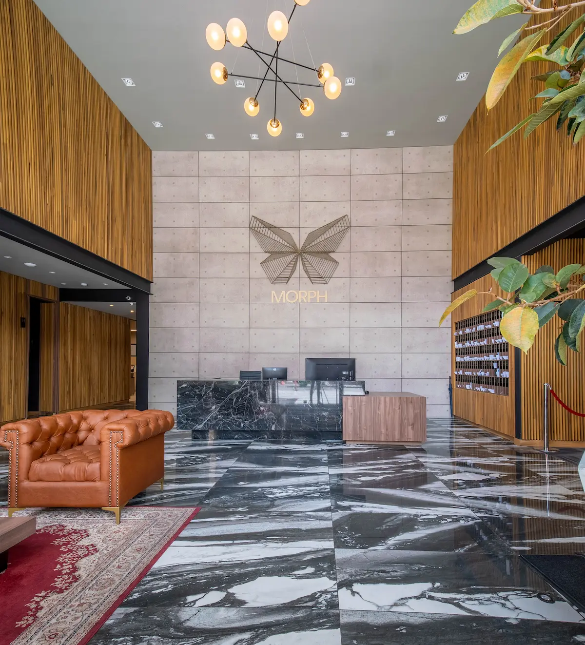 Lobby — Morph Chicó